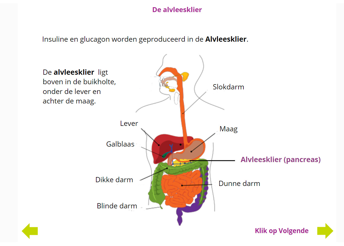 Cursus-diabetes-verpleegkundigen-E-Nursing